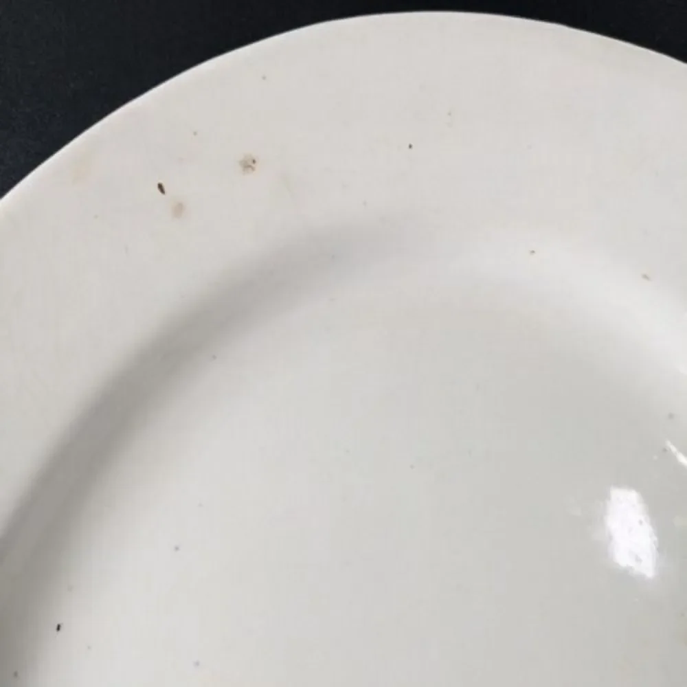 Antique Powell & Bishop‎ English Ironstone China Serving Platter 10x14